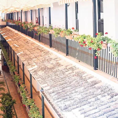 Alohamundi Lumbreras II Appartement Sevilla Buitenkant foto